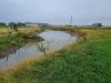 The low level of the pond.