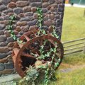 A little bit of Ivy on the old mill wheel.