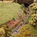 Vegetation planted around the burn.