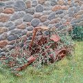 Old Mower in Brambles